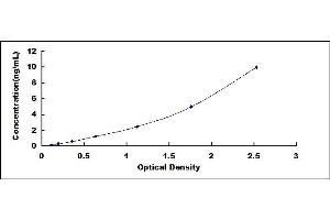 Typical standard curve (p300 Kit ELISA)