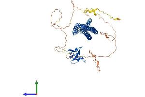 AlphaFold protein structure predicition of Mouse Recombinant Baiap2 Protein, UniprotID Q8BKX1
