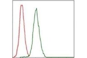 Flow Cytometry (FACS) image for anti-Replication Protein A1, 70kDa (RPA1) antibody (ABIN1108896)
