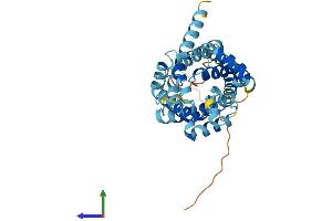 AlphaFold protein structure predicition of Mouse Recombinant Slc25a37 Protein, UniprotID Q920G8