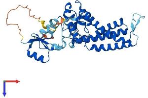 AlphaFold protein structure predicition of Human Recombinant FA2H Protein, UniprotID Q7L5A8