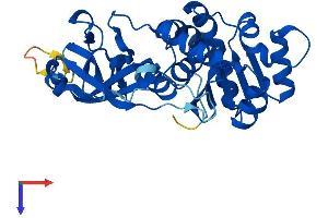 AlphaFold protein structure predicition of Mouse Recombinant Epm2a Protein, UniprotID Q9WUA5