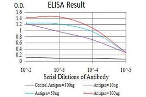 Black line: Control Antigen (100 ng), Purple line: Antigen(10 ng), Blue line: Antigen (50 ng), Red line: Antigen (100 ng), (SIRT6 anticorps  (AA 141-250))