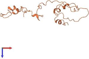 AlphaFold protein structure predicition of Human Recombinant KRTAP9-3 Protein, UniprotID Q9BYQ3