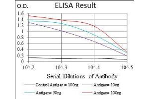 Black line: Control Antigen (100 ng), Purple line: Antigen(10 ng), Blue line: Antigen (50 ng), Red line: Antigen (100 ng), (GSC anticorps  (AA 191-257))