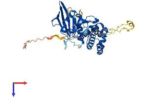 AlphaFold protein structure predicition of Mouse Recombinant Ptpn7 Protein, UniprotID Q8BUM3