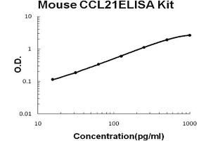 Mouse CCL21/6Ckine Accusignal ELISA Kit Mouse CCL21/6Ckine AccuSignal ELISA Kit standard curve.