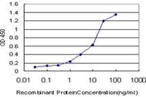 ELISA image for anti-Calpain 9 (CAPN9) (AA 591-691) antibody (ABIN599520) (Calpain 9 anticorps  (AA 591-691))