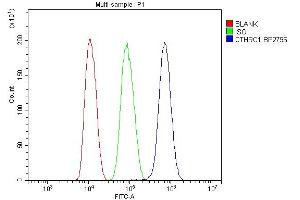 Flow Cytometry analysis of HepG2 cells using anti-CTHRC1 antibody (ABIN7601256). (CTHRC1 anticorps  (AA 31-243))