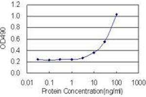 Sandwich ELISA detection sensitivity ranging from 3 ng/mL to 100 ng/mL. (EDA2R (Humain) Matched Antibody Pair)