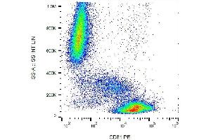 Surface staining of CD81 in human peripheral blood with anti-CD81 (M38) PE.