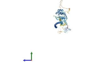 AlphaFold protein structure predicition of Mouse Recombinant Brap Protein, UniprotID Q99MP8