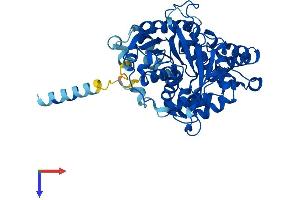 AlphaFold protein structure predicition of Mouse Recombinant Ephx1 Protein, UniprotID Q9D379