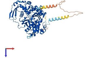 AlphaFold protein structure predicition of Mouse Recombinant Actr8 Protein, UniprotID Q8R2S9