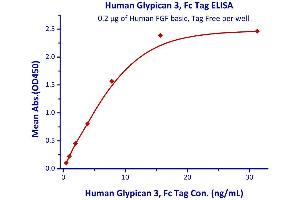 Measured by its binding ability in a functional ELISA.