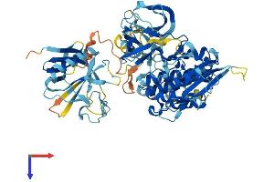 AlphaFold protein structure predicition of Mouse Recombinant Itk Protein, UniprotID Q03526