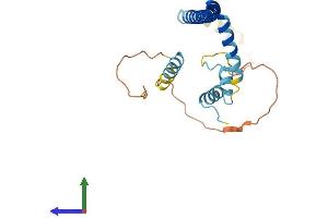 AlphaFold protein structure predicition of Human Recombinant CLTB Protein, UniprotID P09497