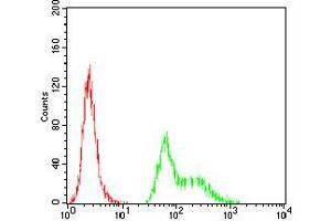 Flow cytometric analysis of Hela cells using TFAP2A mouse mAb (green) and negative control (red).