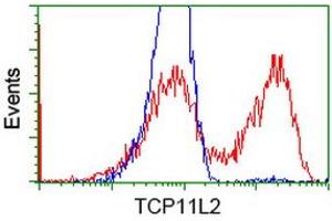 HEK293T cells transfected with either RC207129 overexpress plasmid (Red) or empty vector control plasmid (Blue) were immunostained by anti-TCP11L2 antibody (ABIN2453715), and then analyzed by flow cytometry. (TCP11L2 anticorps)