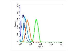 MCF-7 cells probed with Mtp53 (N235K N239Y) Polyclonal Antibody, unconjugated  at 1:100 dilution for 30 minutes compared to control cells (blue) and isotype control (orange)
