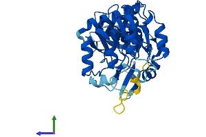 AlphaFold protein structure predicition of Mouse Recombinant Cryzl1 Protein, UniprotID Q921W4