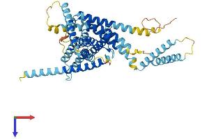 AlphaFold protein structure predicition of Human Recombinant LMBR1L Protein, UniprotID Q6UX01