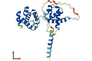 AlphaFold protein structure predicition of Human Recombinant ORC6 Protein, UniprotID Q9Y5N6