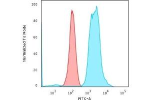 Flow Cytometric Analysis of PFA-fixed K562 cells using Fascin-1 Mouse Monoclonal Antibody (FSCN1/416) followed by Goat anti-Mouse IgG-CF488 (Blue); Isotype Control (Red)
