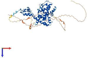 AlphaFold protein structure predicition of Mouse Recombinant Rarb Protein, UniprotID P22605