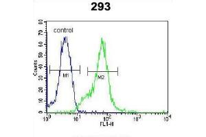 Flow Cytometry (FACS) image for anti-Lectin, Galactoside-Binding, Soluble, 9B (LGALS9B) antibody (ABIN2995511)