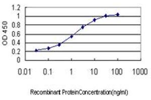 Detection limit for recombinant GST tagged SPRY1 is approximately 0.