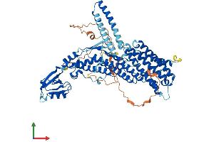 AlphaFold protein structure predicition of Human Recombinant RHPN2 Protein, UniprotID Q8IUC4