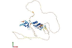 AlphaFold protein structure predicition of Human Recombinant SOWAHC Protein, UniprotID Q53LP3