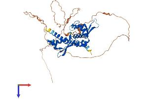 AlphaFold protein structure predicition of Human Recombinant MAGEA11 Protein, UniprotID P43364