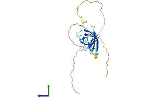 AlphaFold protein structure predicition of Human Recombinant GAR1 Protein, UniprotID Q9NY12