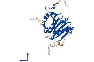 AlphaFold protein structure predicition of Human Recombinant EIF4E2 Protein, UniprotID O60573