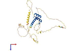AlphaFold protein structure predicition of Mouse Recombinant Hoxd11 Protein, UniprotID P23813