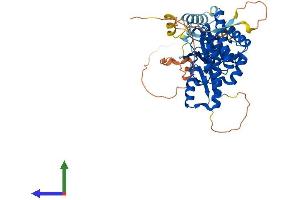 AlphaFold protein structure predicition of Human Recombinant PI4K2B Protein, UniprotID Q8TCG2