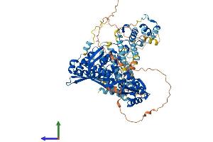 AlphaFold protein structure predicition of Human Recombinant HMGCR Protein, UniprotID P04035