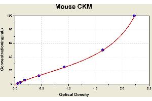 Creatine Kinase, Muscle (CKM) ELISA Kit