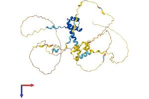 AlphaFold protein structure predicition of Human Recombinant BARHL2 Protein, UniprotID Q9NY43