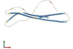 AlphaFold protein structure predicition of Human Recombinant KRT39 Protein, UniprotID Q6A163