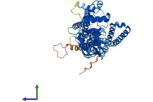AlphaFold protein structure predicition of Human Recombinant ABCD4 Protein, UniprotID O14678