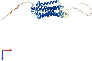 AlphaFold protein structure predicition of Mouse Recombinant Lpar1 Protein, UniprotID P61793