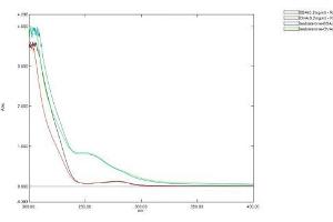 Mass Spec of Protein Standard from the Kit (Testo).