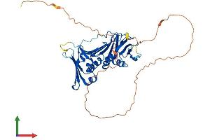 AlphaFold protein structure predicition of Human Recombinant RAD9A Protein, UniprotID Q99638