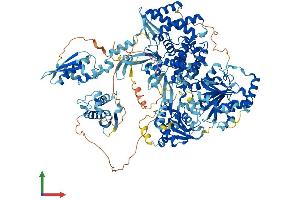 AlphaFold protein structure predicition of Human Recombinant DHX30 Protein, UniprotID Q7L2E3