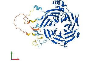 AlphaFold protein structure predicition of Human Recombinant GRWD1 Protein, UniprotID Q9BQ67