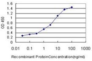 Detection limit for recombinant GST tagged AP4B1 is approximately 0.