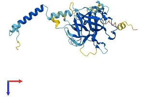 AlphaFold protein structure predicition of Mouse Recombinant Cfap161 Protein, UniprotID Q6P8Y0